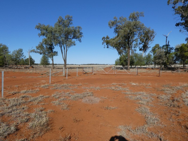 Dirranbandi QLD 4486