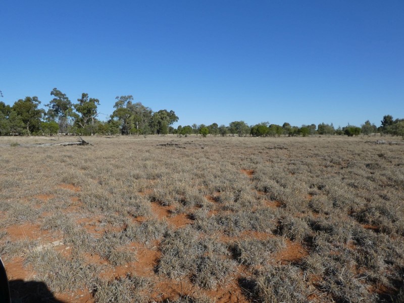 Dirranbandi QLD 4486