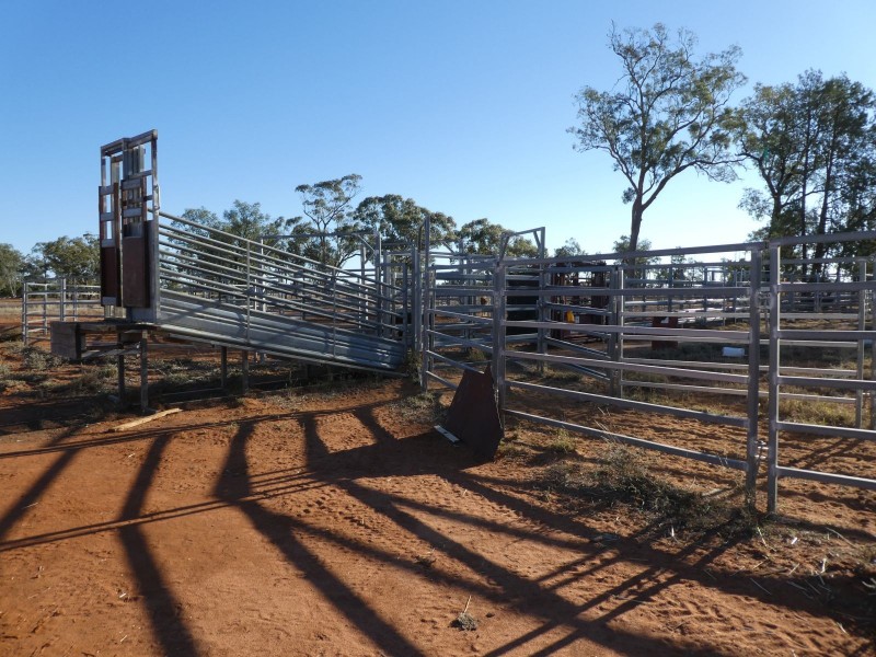 Dirranbandi QLD 4486