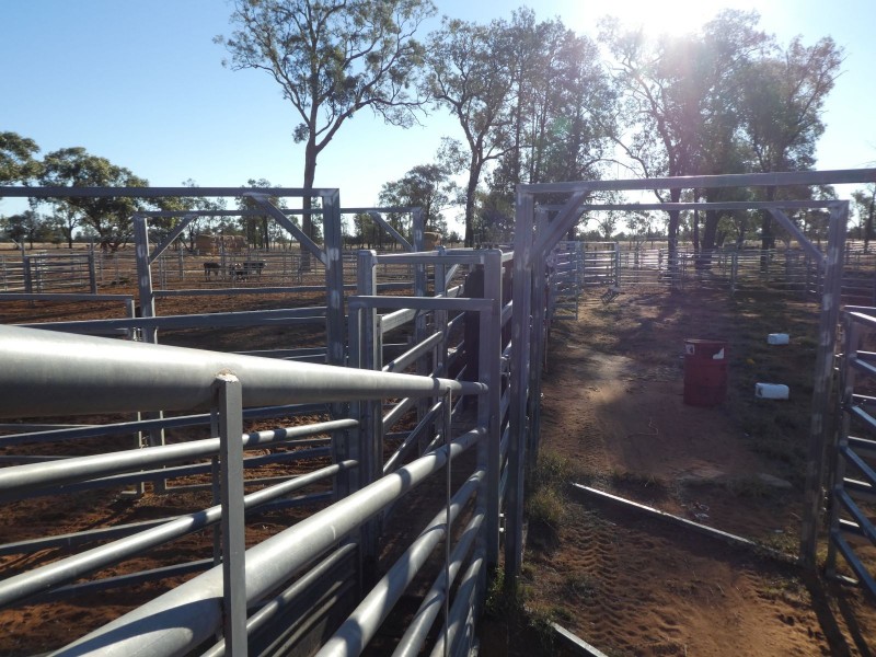 Dirranbandi QLD 4486