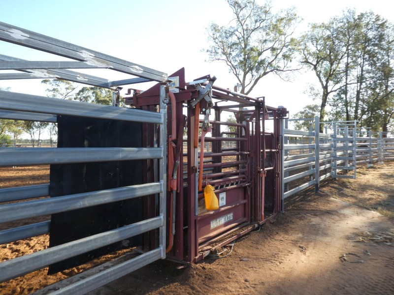 Dirranbandi QLD 4486