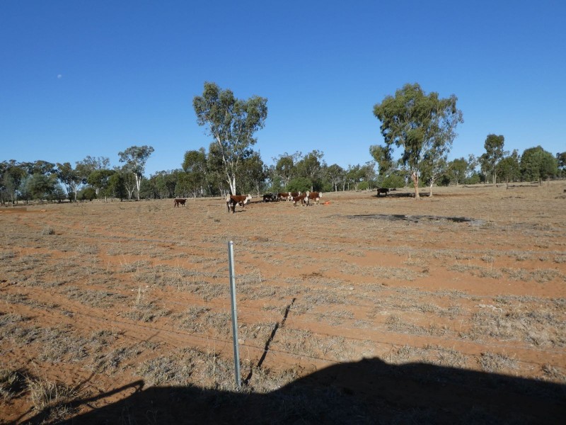 Dirranbandi QLD 4486