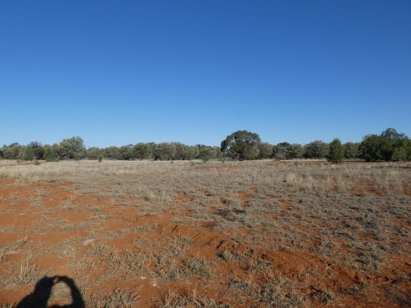 Dirranbandi QLD 4486