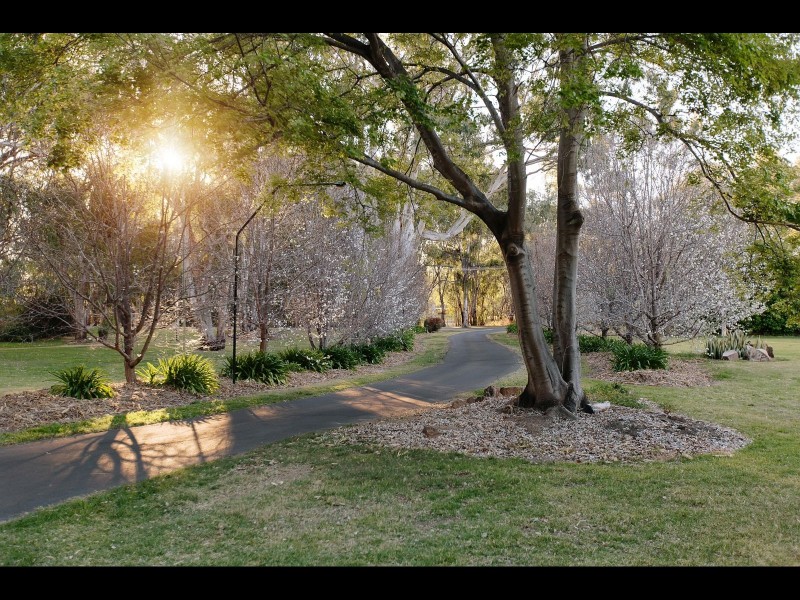 37 Clarkes Road, Goondiwindi QLD 4390