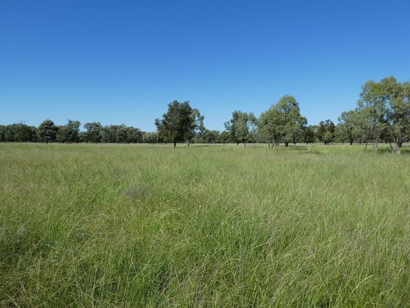 Goondiwindi QLD 4390