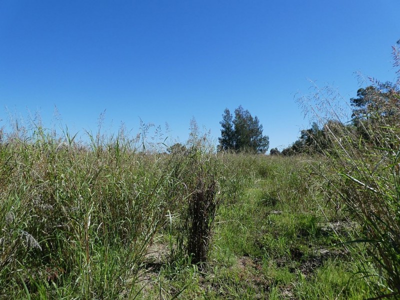 Goondiwindi QLD 4390