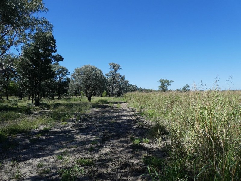 Goondiwindi QLD 4390