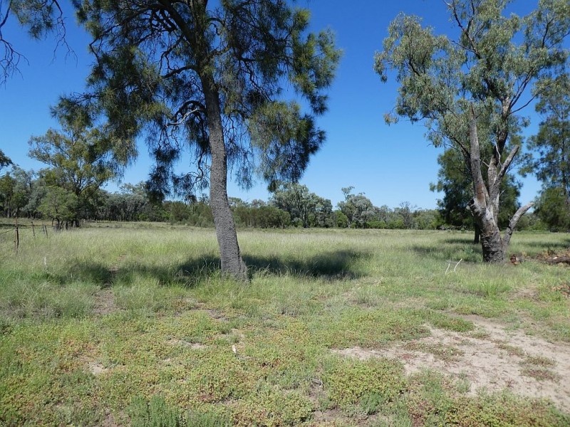 Goondiwindi QLD 4390