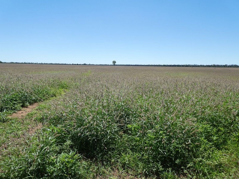 Goondiwindi QLD 4390