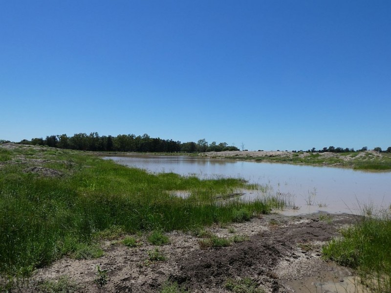 Goondiwindi QLD 4390