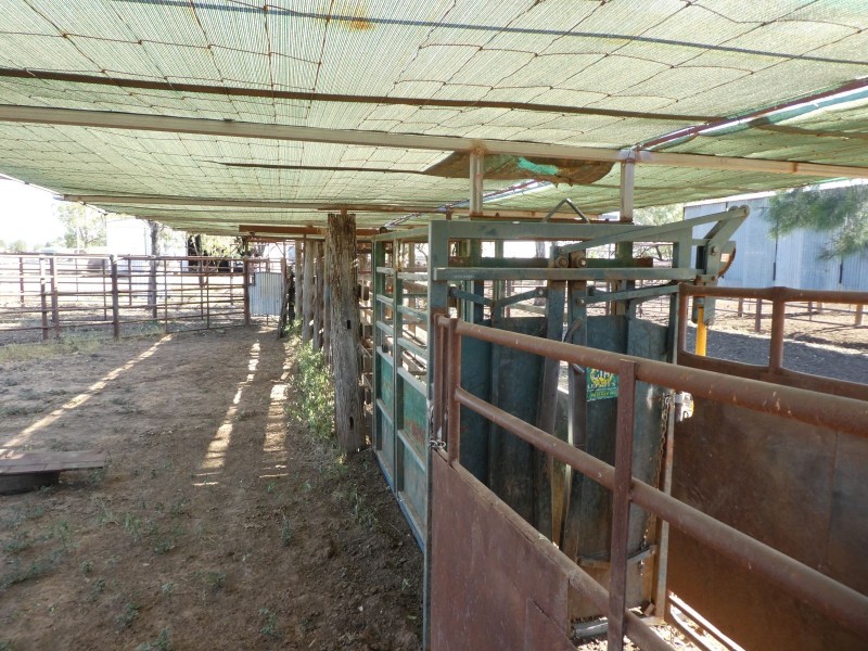 Goondiwindi QLD 4390