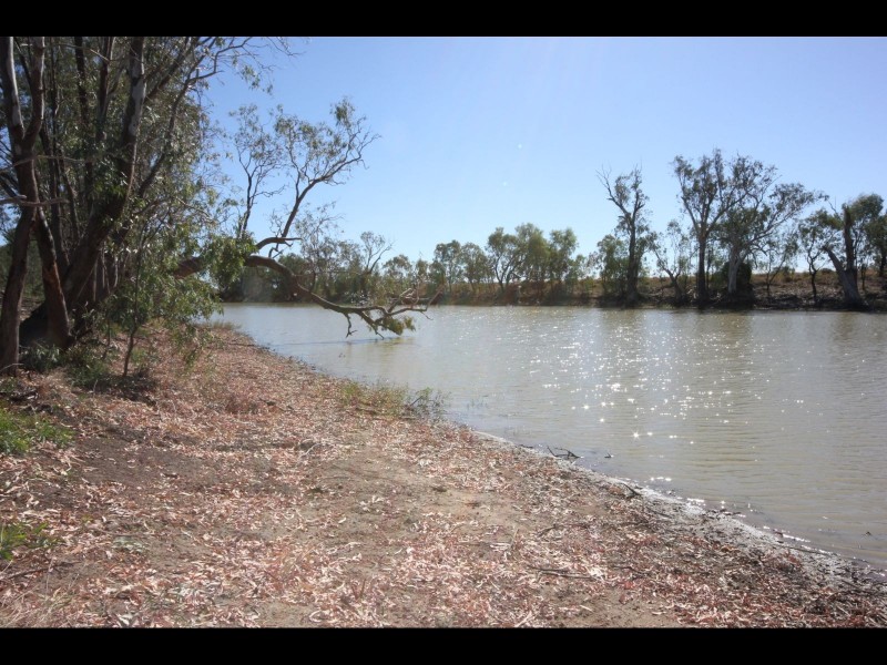 73 Billabong Drive, Goondiwindi QLD 4390