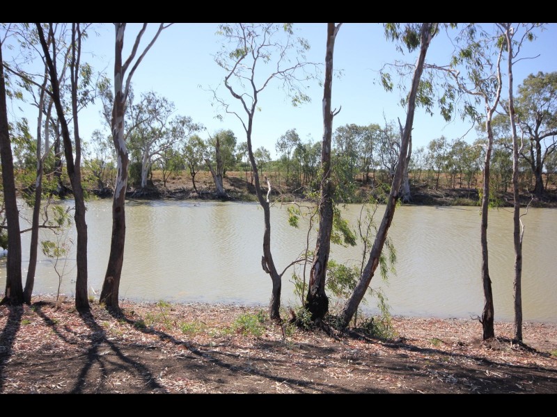 73 Billabong Drive, Goondiwindi QLD 4390