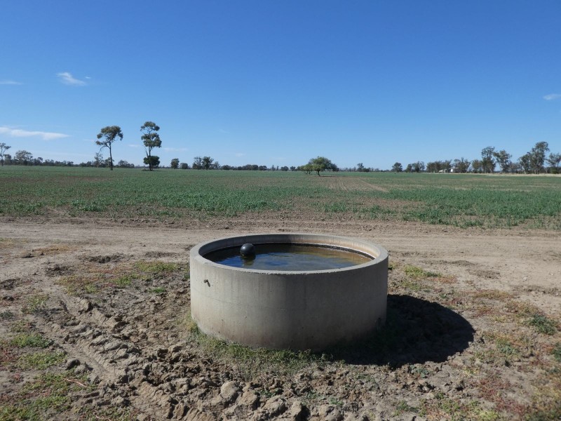 Goondiwindi QLD 4390