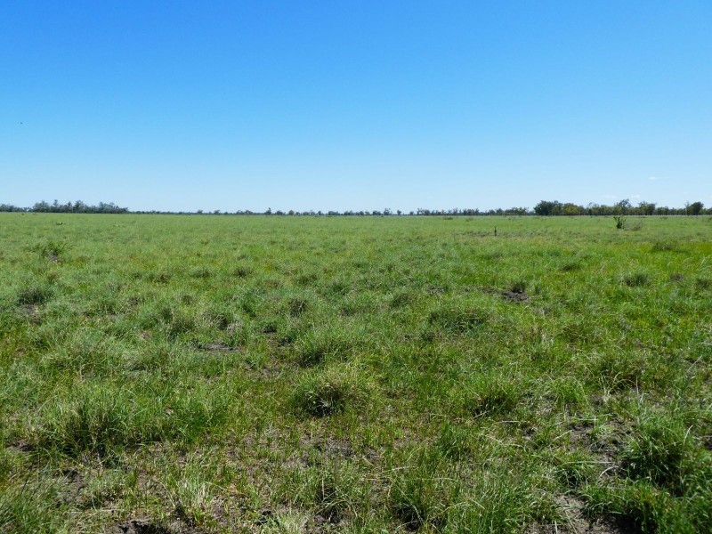 Goondiwindi QLD 4390