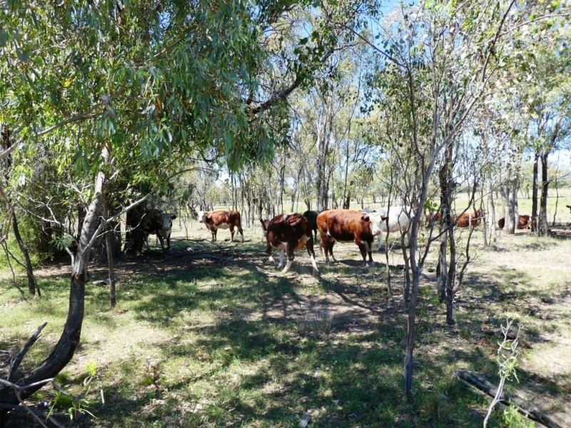 Goondiwindi QLD 4390