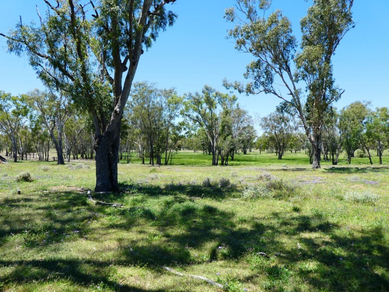 Goondiwindi QLD 4390