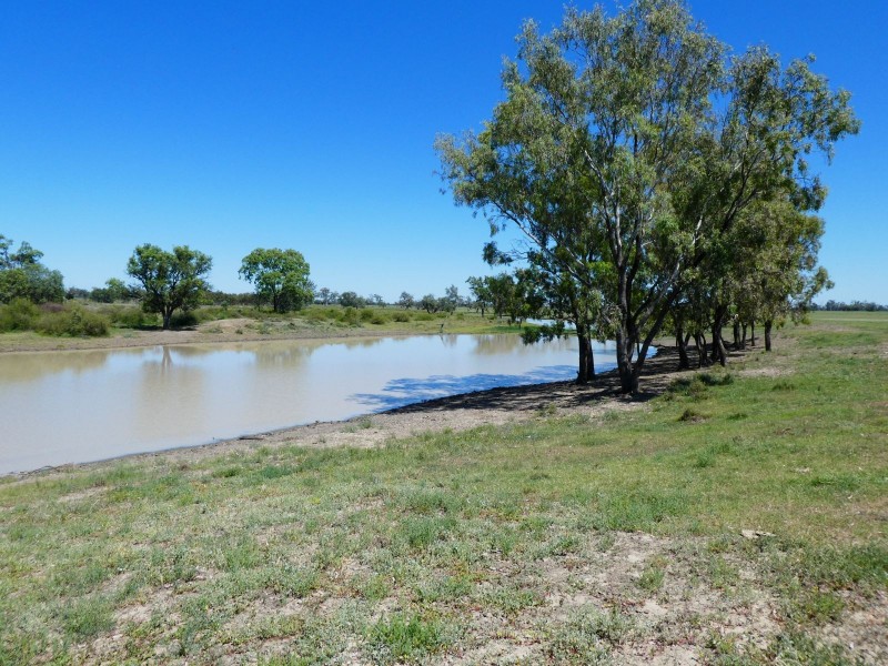 Goondiwindi QLD 4390