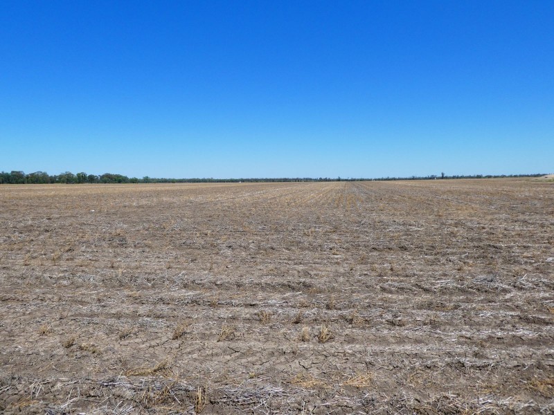 Goondiwindi QLD 4390