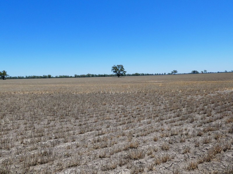 Goondiwindi QLD 4390