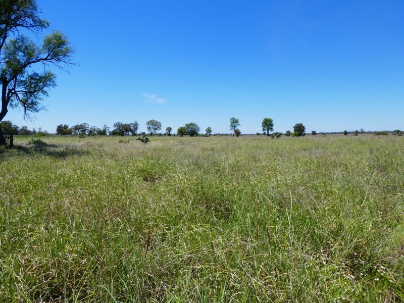 Goondiwindi QLD 4390