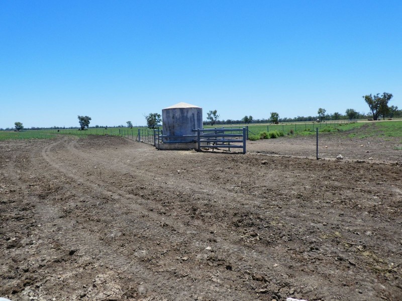 Goondiwindi QLD 4390