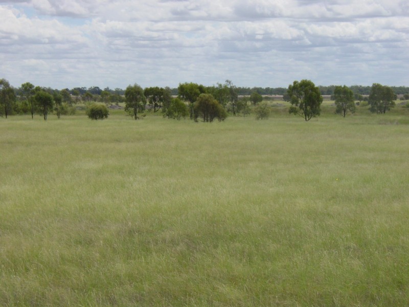 Goondiwindi QLD 4390