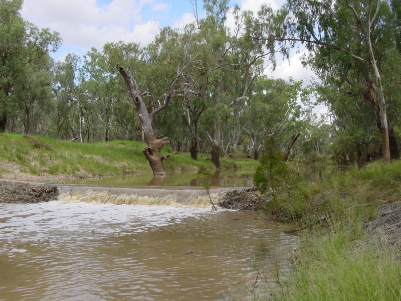 Goondiwindi QLD 4390