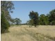 Toobeah QLD 4498