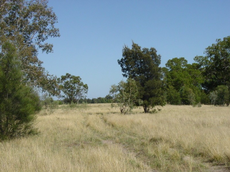 Toobeah QLD 4498