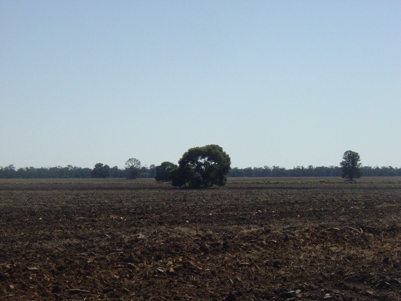 Goondiwindi QLD 4390