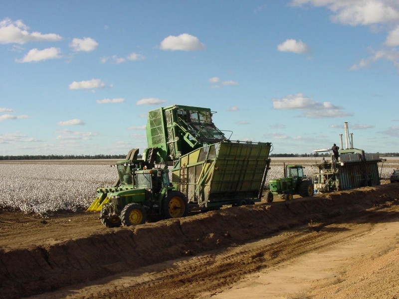 Goondiwindi QLD 4390