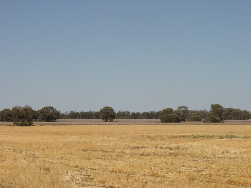 Goondiwindi QLD 4390