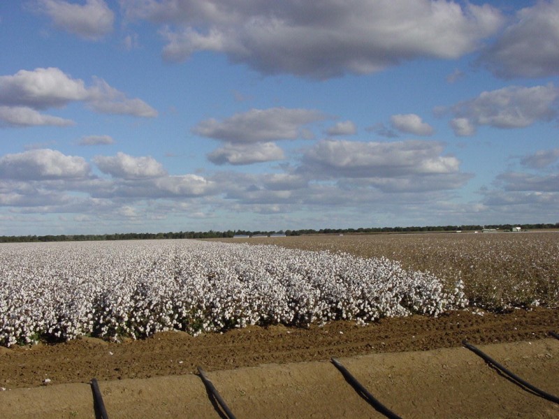 Goondiwindi QLD 4390