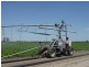 Yelarbon QLD 4388