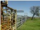 Yelarbon QLD 4388