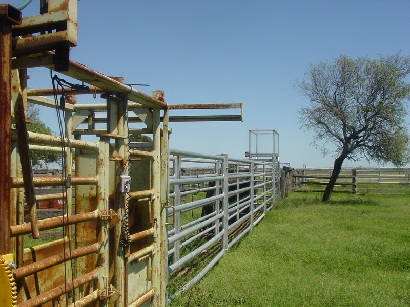 Yelarbon QLD 4388
