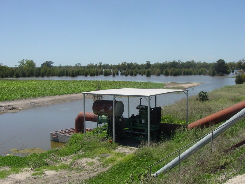 Yelarbon QLD 4388