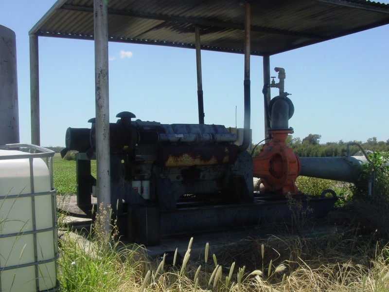 Yelarbon QLD 4388