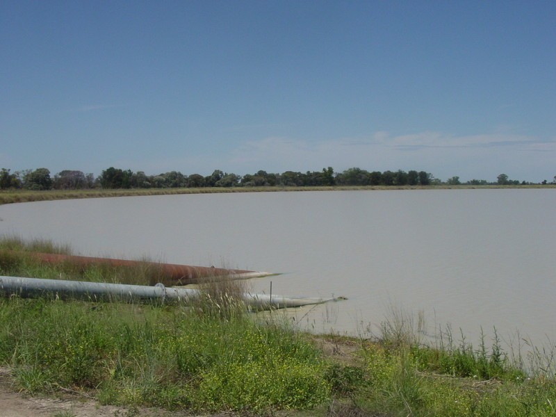 Yelarbon QLD 4388