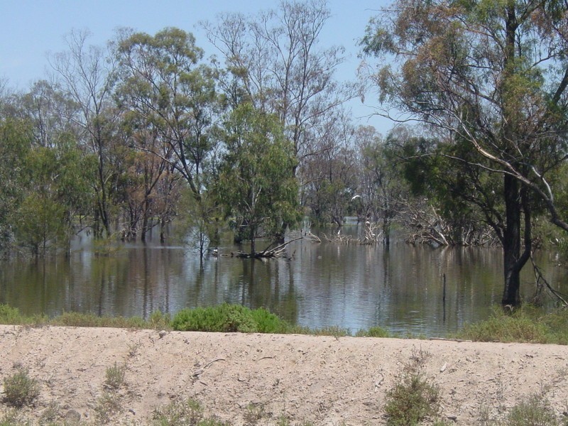 Yelarbon QLD 4388