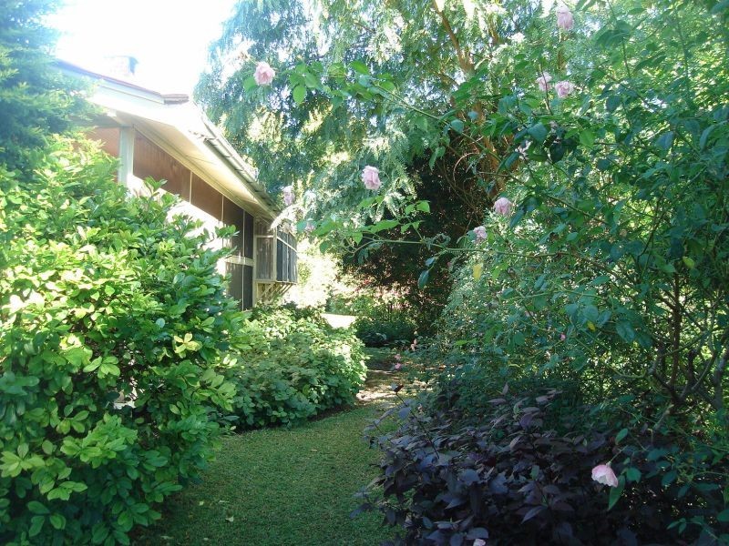 13 Frideswide Street, Goondiwindi QLD 4390