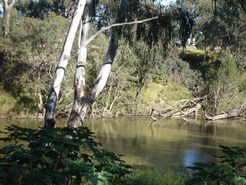 Goondiwindi QLD 4390