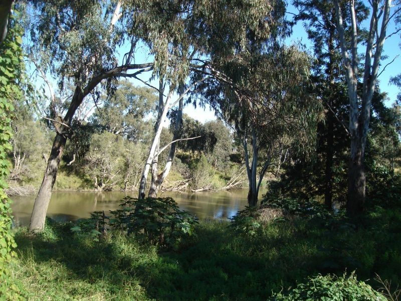 Goondiwindi QLD 4390
