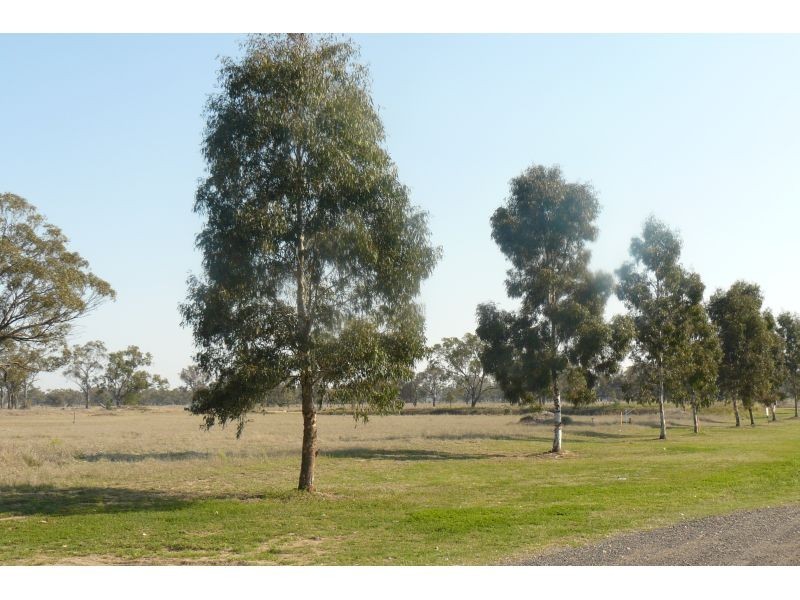 Goondiwindi QLD 4390