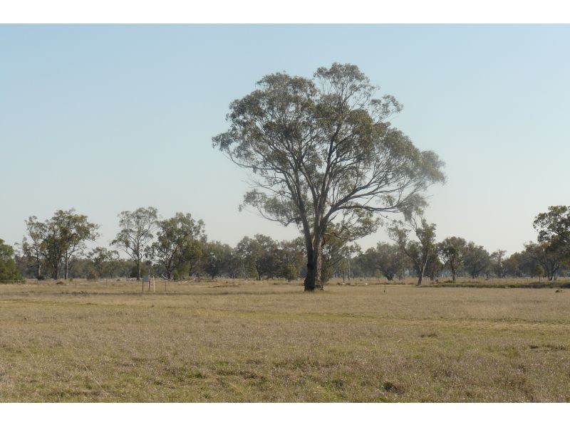 Goondiwindi QLD 4390