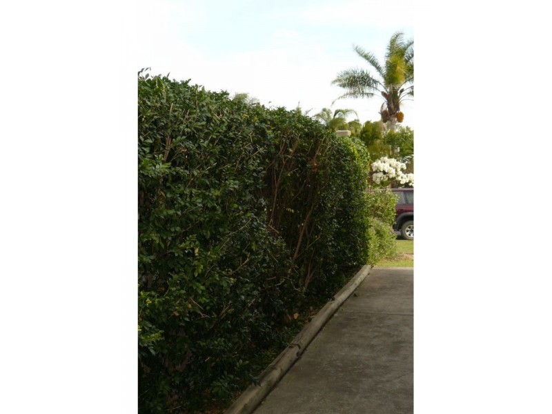 Goondiwindi QLD 4390