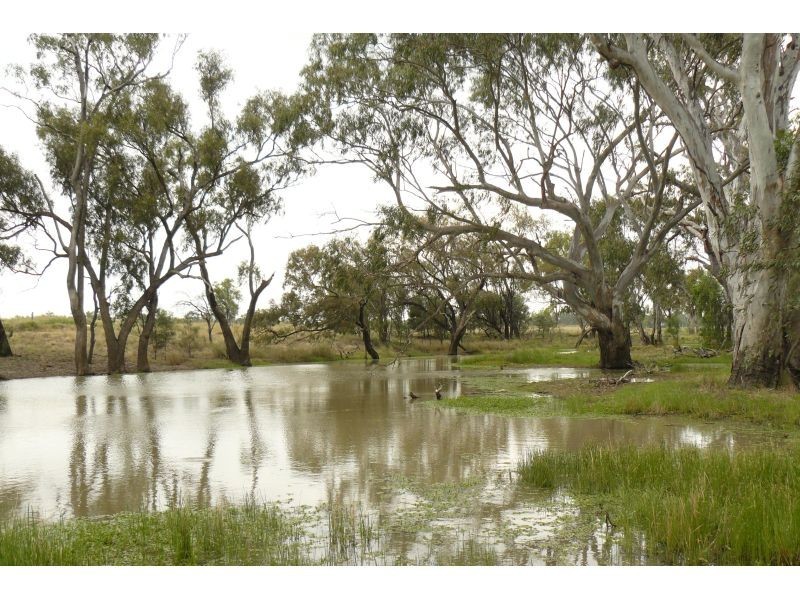 Goondiwindi QLD 4390