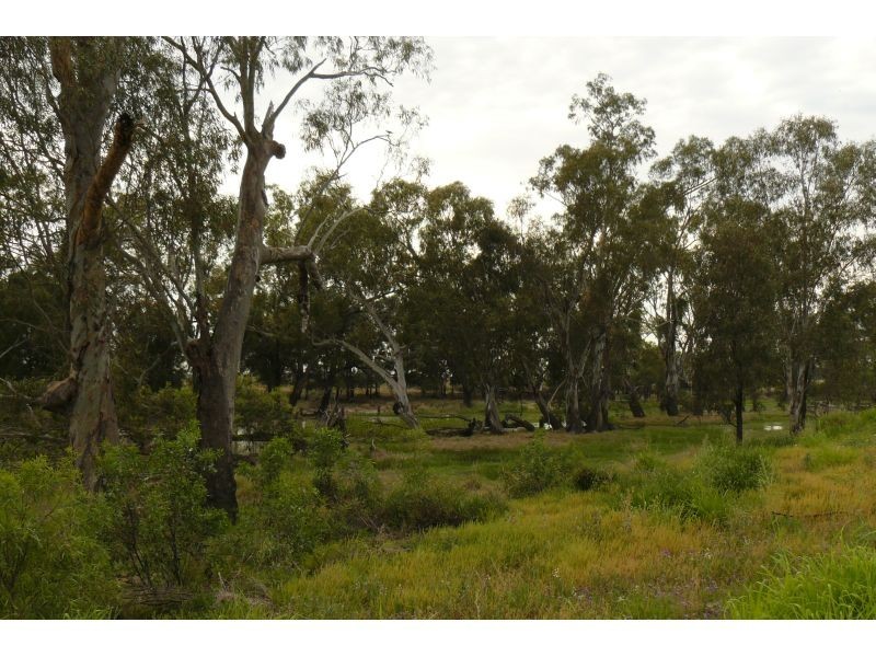 Goondiwindi QLD 4390