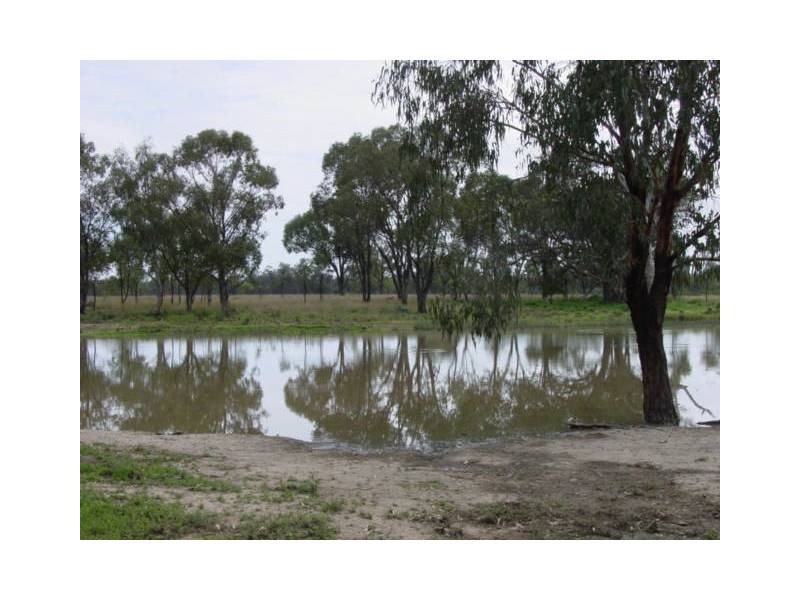 Yelarbon QLD 4388